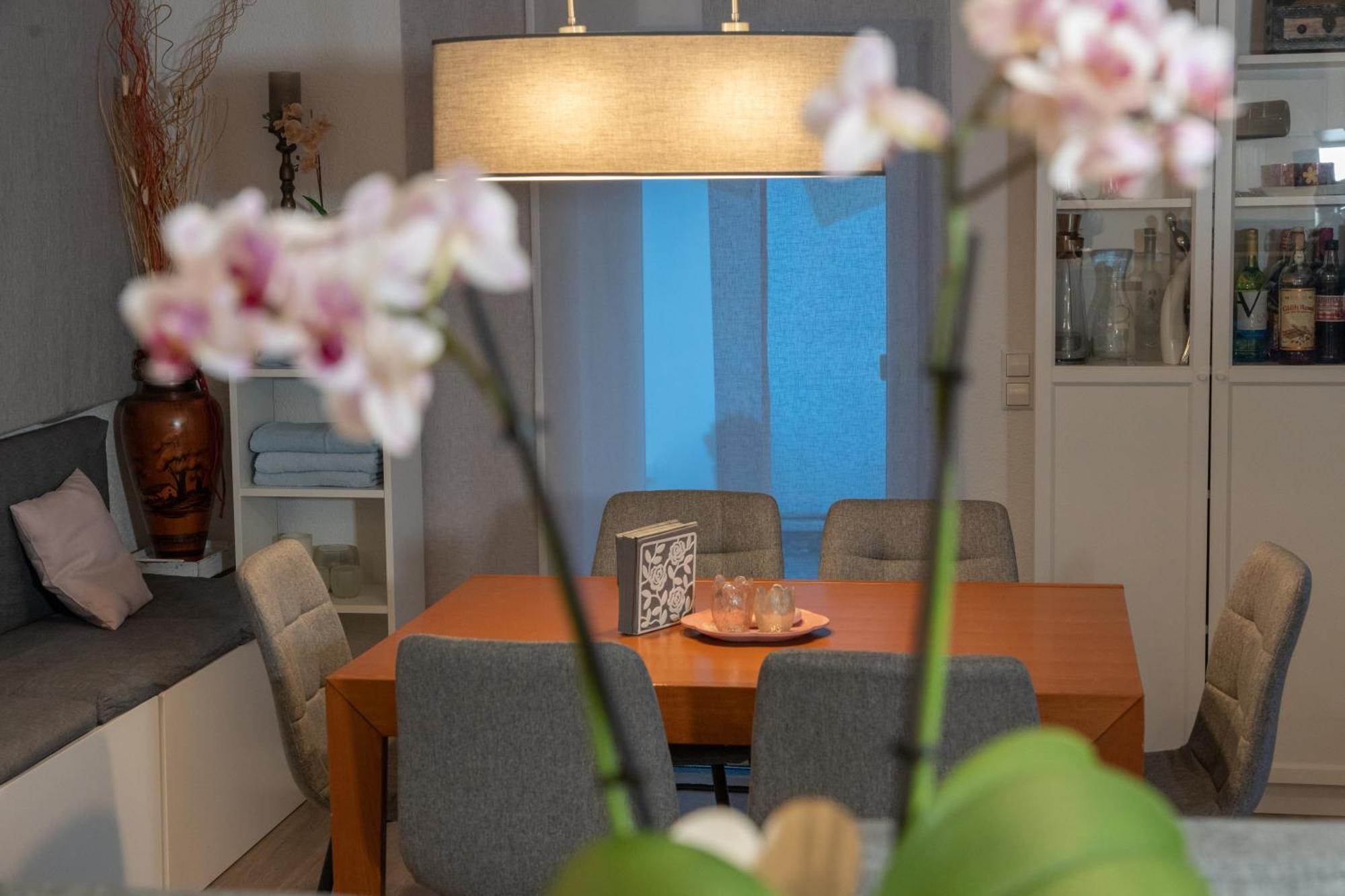 #3 Bequemes Zimmer Mit Pool Und Garten メミンゲン エクステリア 写真